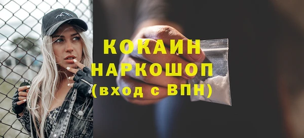гашик Белокуриха