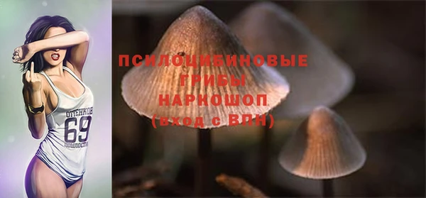 твердый Белоозёрский