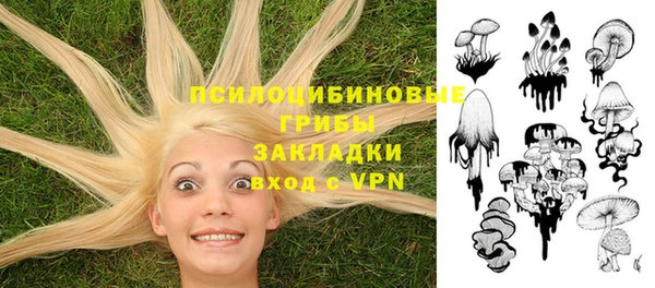 бошки Беломорск