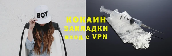 гашик Белокуриха