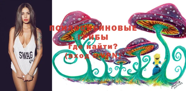 твердый Белоозёрский