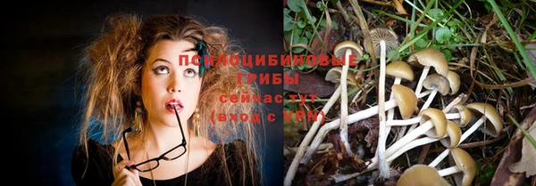 твердый Белоозёрский