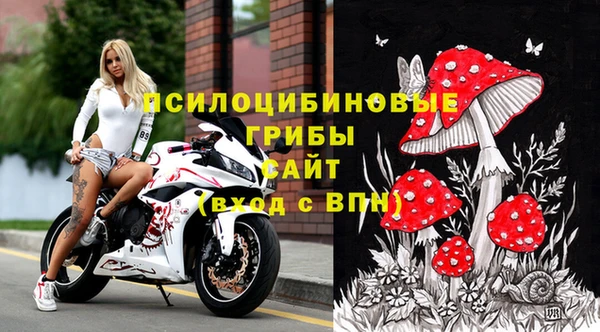 бошки Беломорск