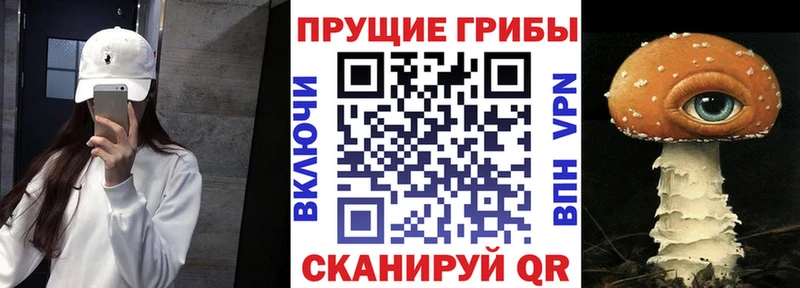 Галлюциногенные грибы MAGIC MUSHROOMS  Вельск 